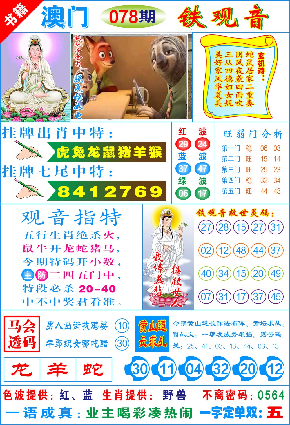 078期澳门铁观音[图]